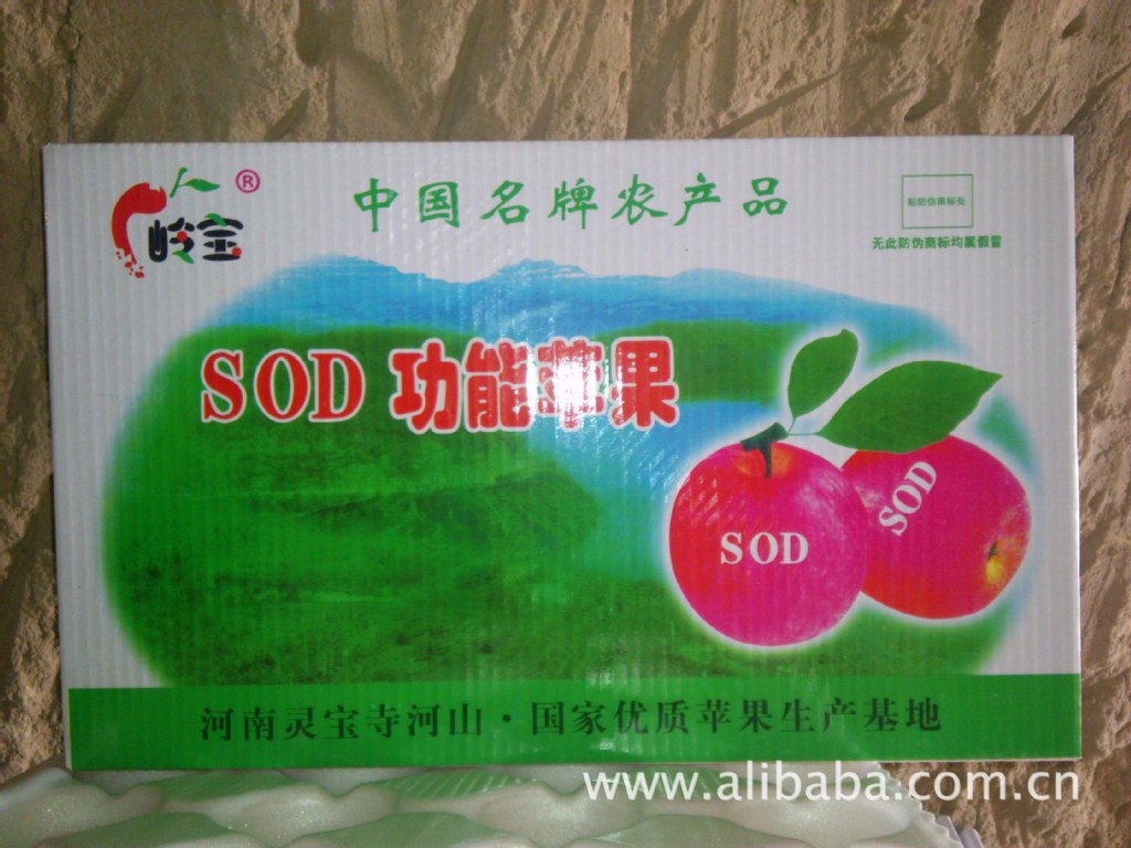 高山果園的饋贈 綠色無公害紅富士蘋果，品質與健康的承諾