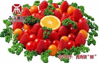 西商之聲 | 農(nóng)產(chǎn)品 以地產(chǎn)農(nóng)產(chǎn)品供給為重點(diǎn)